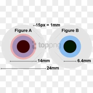 png human eye lens diameter png image  transparent circle