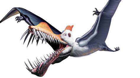 Kids News: Paleontologists discover new pterosaur species ...