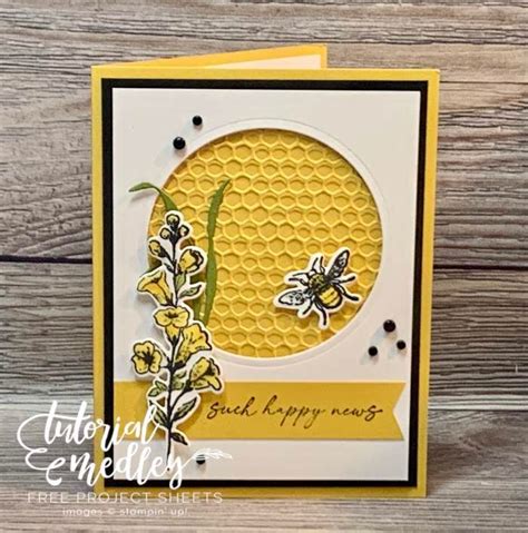 Stampin Up Honeybee Home Hive Embossing Folder Tutorial Medley Honey