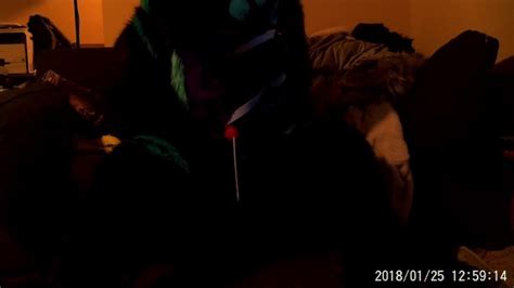 Dov S Rex Play Time Pornhub Gay