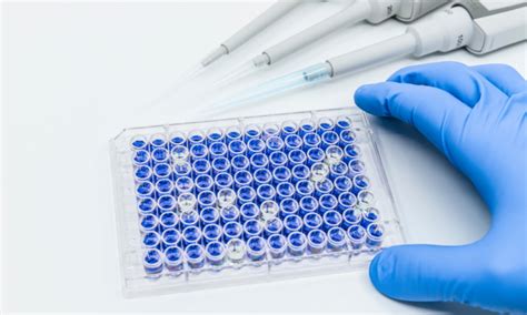 Choosing Between Molecular Assays and Immunoassays - iFyber