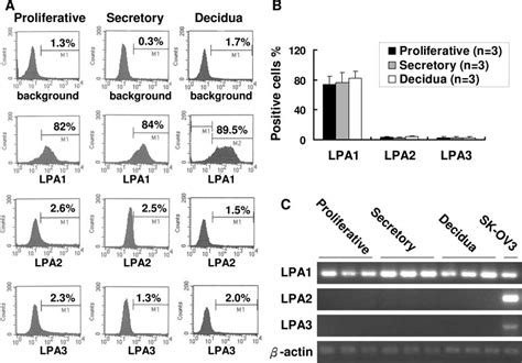 Expression Of Lpa Receptors In Endometrial Stromal Cells A The