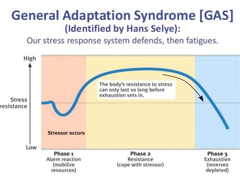 Selye's Stress Model Diagram Gas General Response Theory Sta