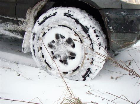 100 000 км на Шевике. Часть 3. — Chevrolet Niva (1G), 1,7 л, 2006 года ...