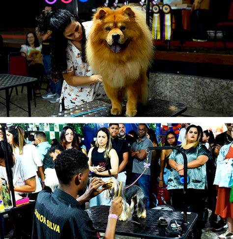 Desfile De Pets Neste Final De Semana Na Serra Es Deve Movimentar