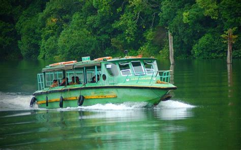 Wood Note Thakkady – Woodnote Thekkady – The best family hotel in Thekkady