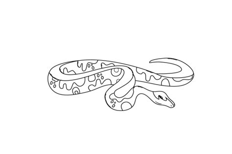 Ball Python Svg Cut File By Creative Fabrica Crafts · Creative Fabrica