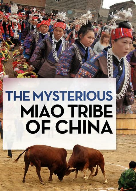 THE MYSTERIOUS MIAO TRIBE OF CHINA: Miao Tribe, Festival Celebrations