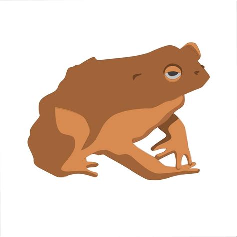 Toad Color Clipart Vector Illustration Design 3235674 Vector Art at ...