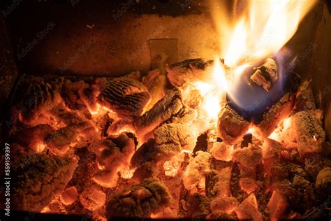 Bonfire Campfire With Coal And Wood Burning On The Harvest Festival Of