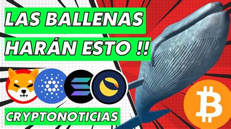 Subida Explosiva Noticias Criptomonedas Hoy 👉 Bitcoin Ethereum