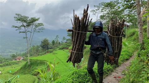 Adem Ayem Pesona Kampung Sunda Bikin Orang Kota Kesengsem Suasana