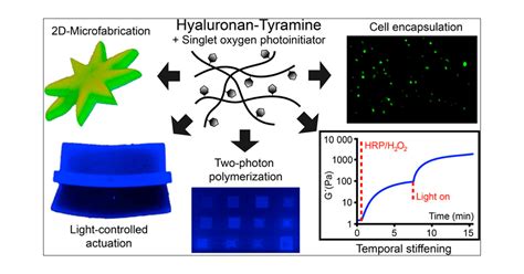 Microfabrication Of Photo Cross Linked Hyaluronan Hydrogels By Single