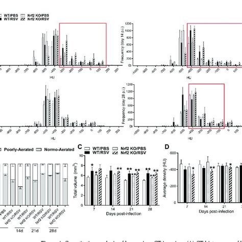 Quantitative Analysis Of Lung Micro Ct Imaging A Ct Histograms Of Download Scientific