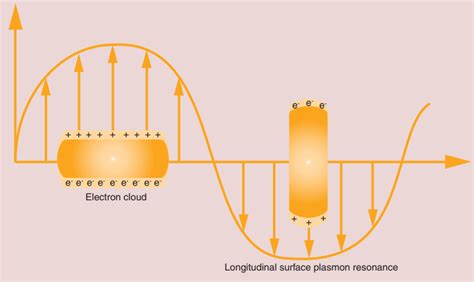 Properties and Applications of Gold Nanorods - CD Bioparticles