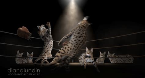 The First Rule of Fight Club...