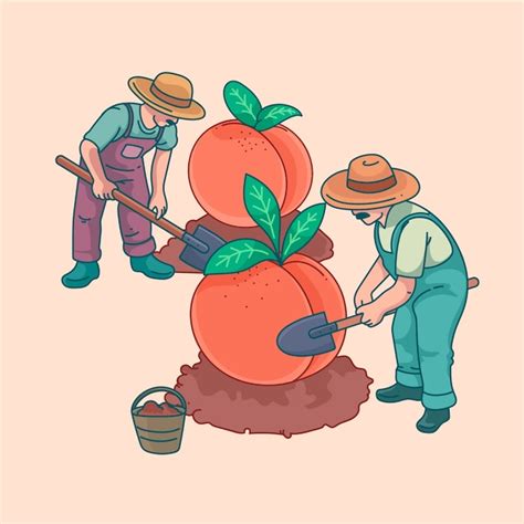 Premium Vector Hand Drawn Apricot Illustration