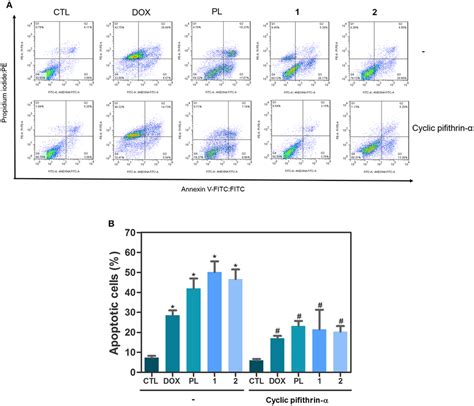 Effect of p53 inhibitor cyclic pifithrin α in apoptosis induced by