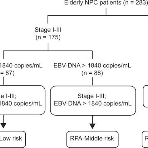 Prognostic Stratification By Recursive Partitioning Analysis In Elderly