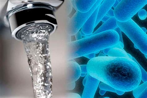 Control De Legionella Prevenci N Legionella En Cienxcien Desinfecci N