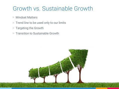 Growth vs sustainable growth 