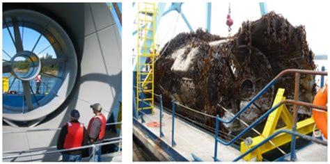 Jmse Free Full Text Tidal Stream Turbine Biofouling Detection And