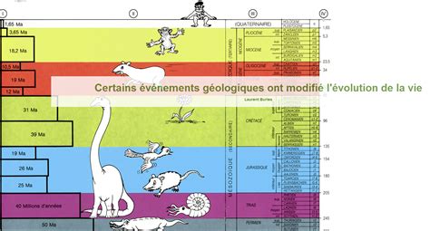 Aix Marseille Th Me Le Vivant Et Son Volution Sciences De La Vie