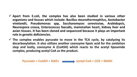 Multienzyme System Pdf