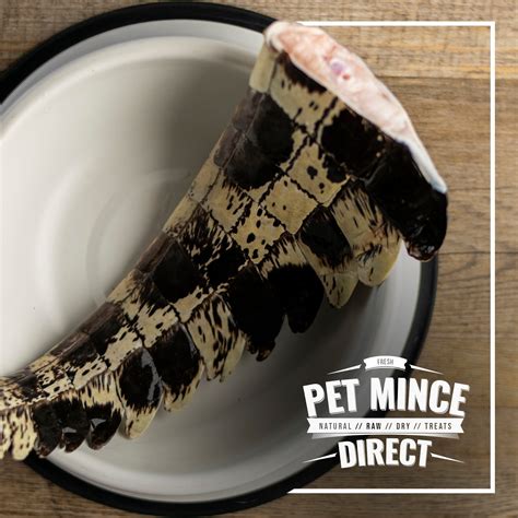 CROCODILE TAIL TIP – Pet Mince Direct