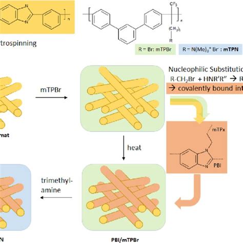 Schematic Representation Of The Pbimtpn Membrane Fabrication And