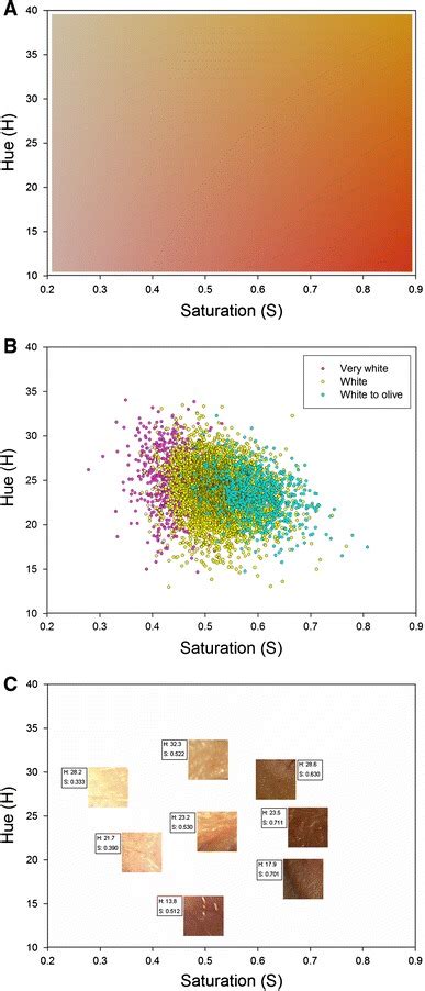 Huesaturation Color Space Of Skin Color In The Rotterdam Study A A