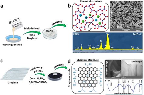 Novel Bioactive Glass Graphene Oxide Coated Surgical Sutures For Soft Tissue Regeneration Acs