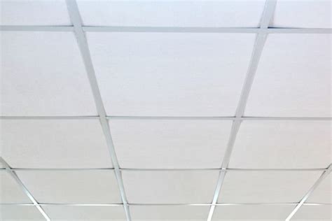 Suspended Ceiling Tiles 2X4 | Review Home Co