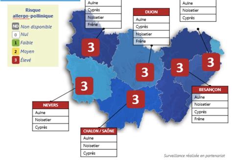 Pollens un risque dallergie élevé en Bourgogne Franche Comté