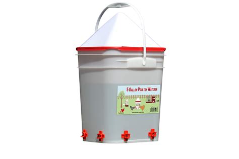 Buy 5 Gallon Chicken Waterer 6 Horizontal Side Poultry Nipples For