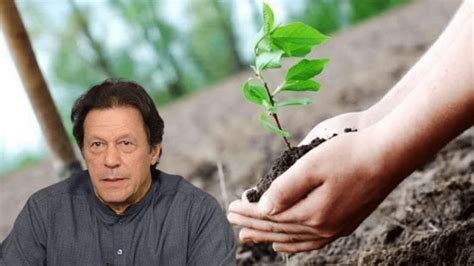 Monsoon Plantation Drive Launched By Imran Khan Life In Pakistan