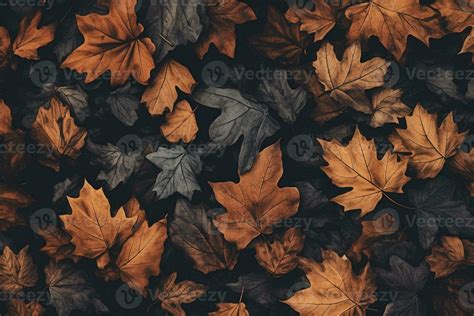 wallpaper autumn leaves in the style of dark brown and indigo 28635690 ...