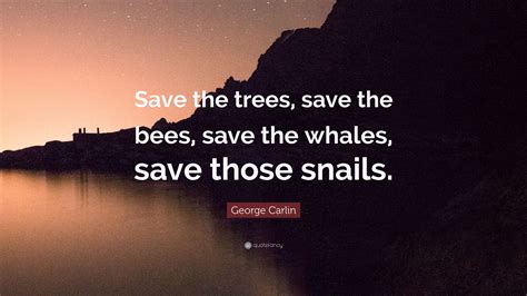 Save The Bees Wallpapers Wallpaper Cave