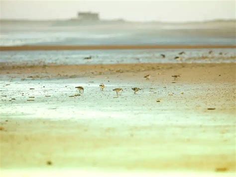 Brancaster Staithe: A Hidden Gem in North Norfolk | Written by a Local