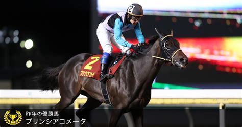 ダートグレード競走：クイーン賞（jpniii）2018おトク情報楽天競馬