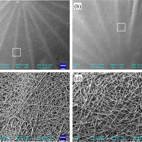 Sem Micrographs Of Single Scale Tm Scaffolds Plga Electrospun Mesh