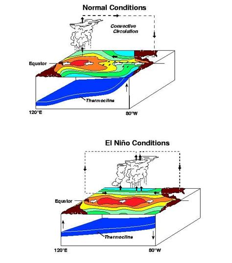 El Nino S Grip On Climate Learn Science At Scitable