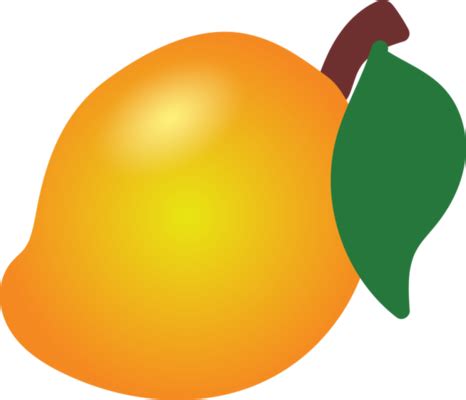 Mango Leaf PNGs for Free Download