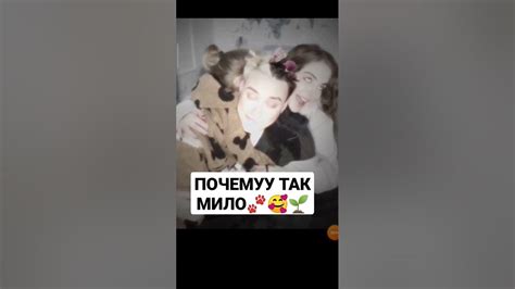аоаоао #кошки #животние #собаки #zoo #pets - YouTube