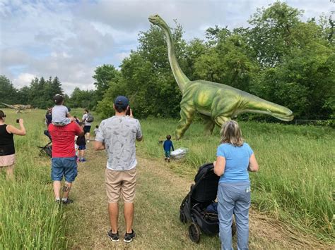 The Land Of Giants At Maxstoke Estate Near Birmingham In Pictures