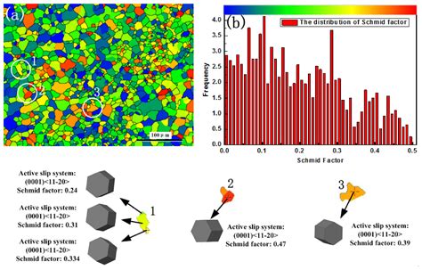 Ratcheting Strain And Microstructure Evolution Of Az31b Magnesium Alloy