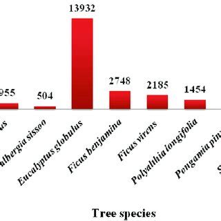 Top ten dominant tree species recorded at Maharshi Dayanand University ...