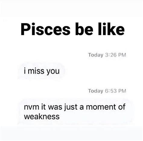 52 Best Pisces Memes That Describe This Zodiac Sign Artofit