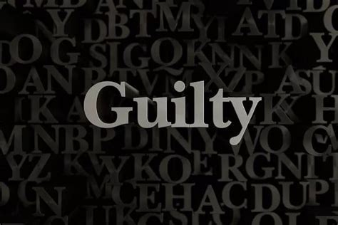 How Might A Conviction Or Guilty Plea Affect Other External Areas