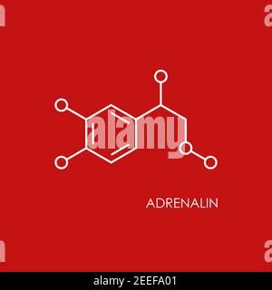 Adrenaline Molecular Structure Epinephrine Skeletal Chemical Formula